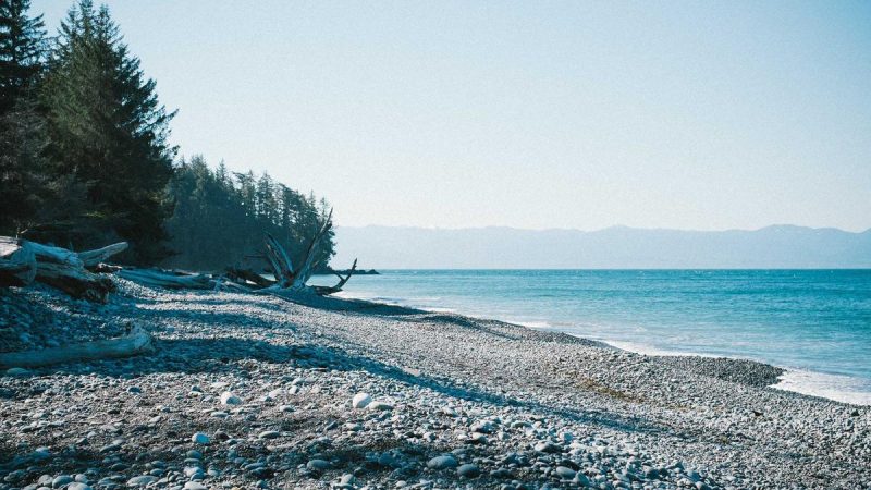 Analysis: Paul Jarvis Case Study