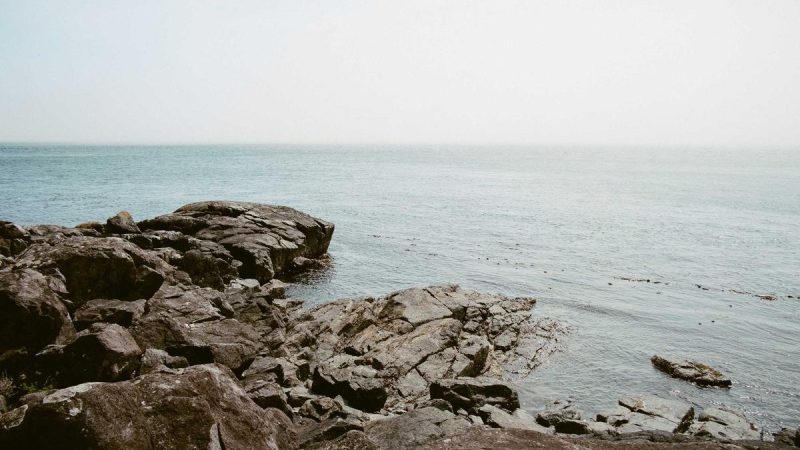 Analysis: Paul Jarvis Case Study